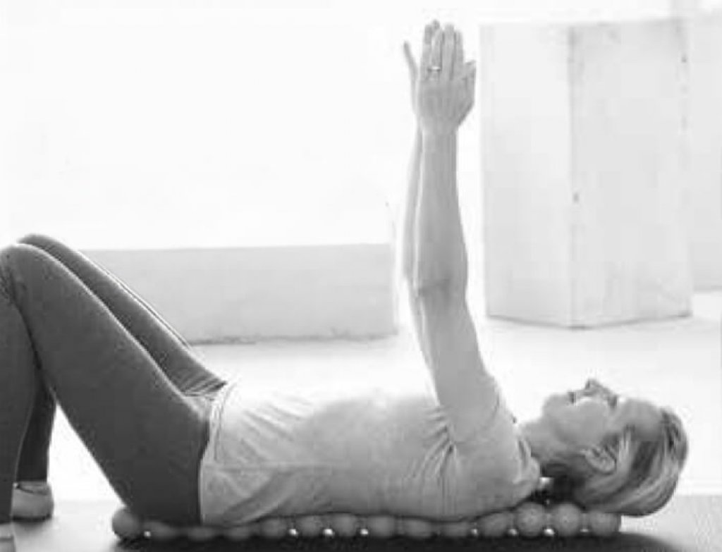 spinefitter_im_fitness_plaza